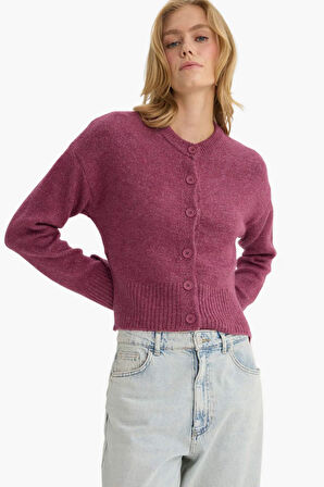 Regular Fit Bisiklet Yaka Hırka