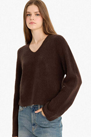 Regular Fit V Yaka Kazak