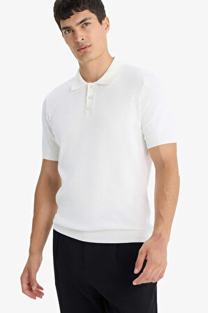 Standart Fit Polo Yaka Triko Kısa Kollu Tişört