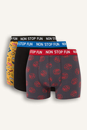 Regular Fit Desenli 3'lü Boxer