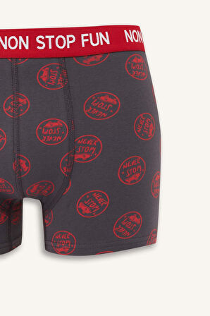 Regular Fit Desenli 3'lü Boxer