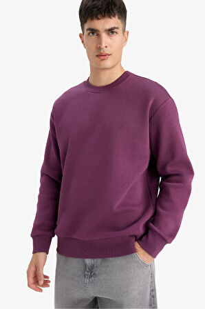 Relax Fit Bisiklet Yaka Kalın İçi Yumuşak Tüylü Basic Düz Sweatshirt