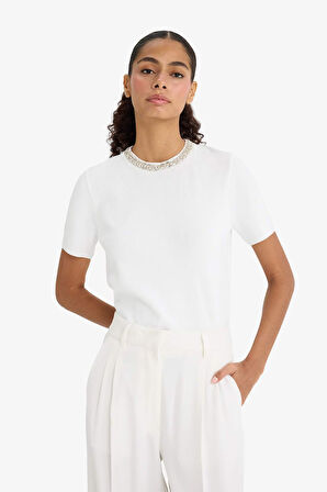 Regular Fit Bisiklet Yaka İşlemeli Krep Kısa Kollu Kazak