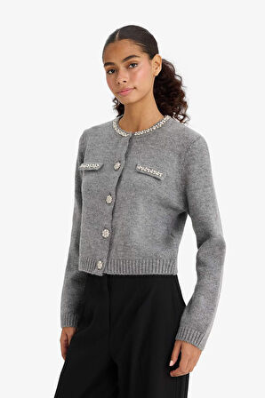 Regular Fit Bisiklet Yaka İşlemeli Hırka