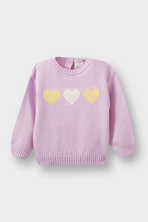 Kız Bebek Regular Fit Bisiklet Yaka Romantik Baskılı Kazak