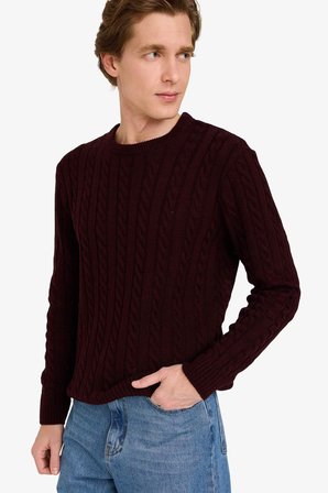 DeFacto Standart Fit Bisiklet Yaka Saç Örgülü Triko Kazak G6388AX25CWBR230