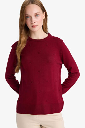 Regular Fit Bisiklet Yaka Triko Kazak