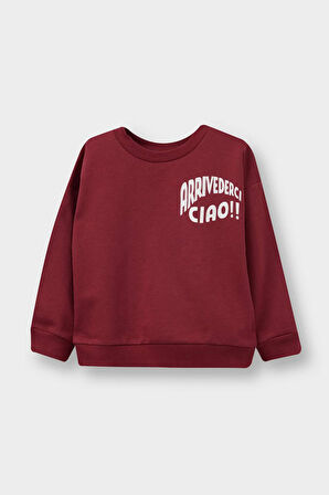 Erkek Bebek Bisiklet Yaka Baskılı 2'li Sweatshirt 
