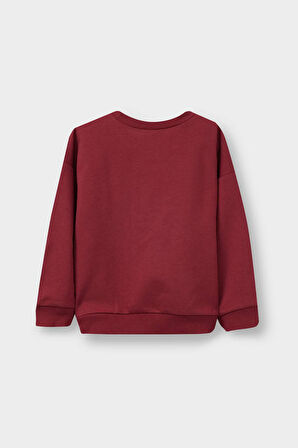 Erkek Bebek Bisiklet Yaka Baskılı 2'li Sweatshirt 