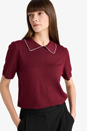Regular Fit Polo Yaka Triko Kazak