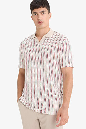 Regular Fit Polo Yaka Çizgili Kısa Kollu Tişört 