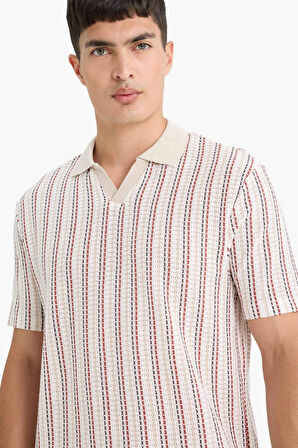 Regular Fit Polo Yaka Çizgili Kısa Kollu Tişört 