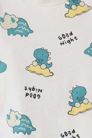 DeFacto %100 Pamuk Poplin 2'li Dokuma Pijama Erkek Bebek G8858A526SMER233