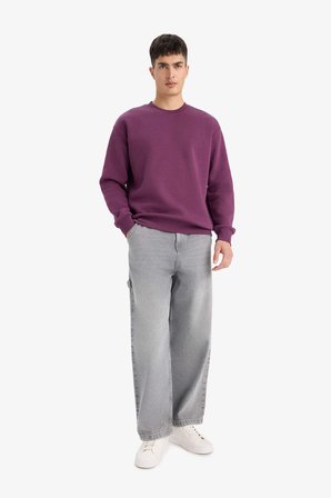 DeFacto Relax Fit Bisiklet Yaka Kalın İçi Yumuşak Tüylü Basic Düz Sweatshirt T5139AZ25AUPR79
