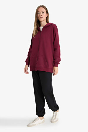 Regular Fit Kapüşonlu İçi Yumuşak Tüylü Kalın Fermuarlı Sweatshirt