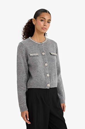 Regular Fit Bisiklet Yaka İşlemeli Hırka