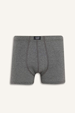 Regular Fit 3'lü Boxer