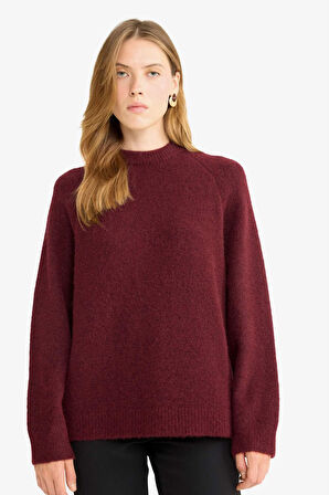 Regular Fit Bisiklet Yaka Triko Kazak