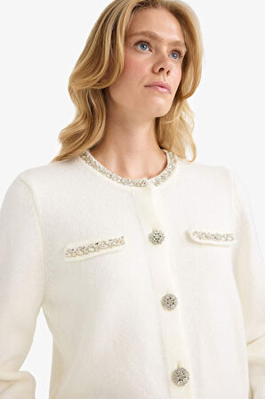 Regular Fit Bisiklet Yaka İşlemeli Hırka