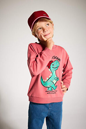 Erkek Bebek Bisiklet Yaka Dinozor Baskılı İçi Yumuşak Tüylü Sweatshirt