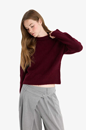 Regular Fit Yarım Balıkçı Yaka Kazak