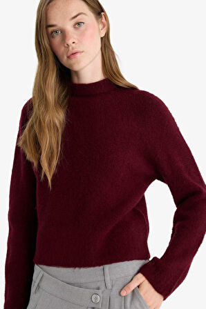 Regular Fit Yarım Balıkçı Yaka Kazak