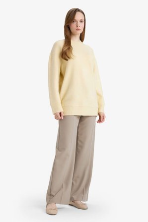 DeFacto Loose Fit Bisiklet Yaka Triko Kazak Tunik G7239AX25CWYL435
