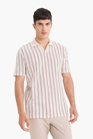 DeFacto Regular Fit Polo Yaka Çizgili Kısa Kollu Tişört F1858AX25AUBG766