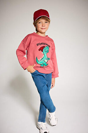 Erkek Bebek Bisiklet Yaka Dinozor Baskılı İçi Yumuşak Tüylü Sweatshirt