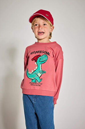 Erkek Bebek Bisiklet Yaka Dinozor Baskılı İçi Yumuşak Tüylü Sweatshirt