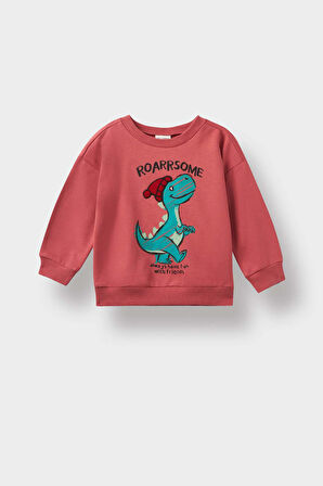 Erkek Bebek Bisiklet Yaka Dinozor Baskılı İçi Yumuşak Tüylü Sweatshirt