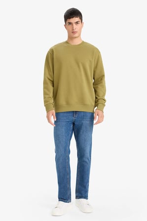 DeFacto Relax Fit Bisiklet Yaka Kalın İçi Yumuşak Tüylü Basic Düz Sweatshirt T5139AZ25AUKH256