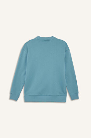 Boxy Fit Bisiklet Yaka İçi Yumuşak Tüylü Baskılı Sweatshirt