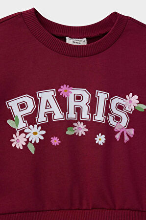 Kız Bebek Baskılı Uzun Kollu Tül Elbise