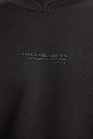 Boxy Fit Bisiklet Yaka İçi Yumuşak Tüylü Baskılı Sweatshirt