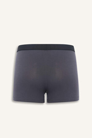 DeFacto Premium Regular Fit Modal Boxer Z7165AZ25SMAR150