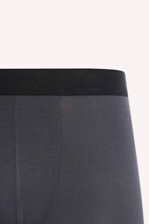 DeFacto Premium Regular Fit Modal Boxer Z7165AZ25SMAR150