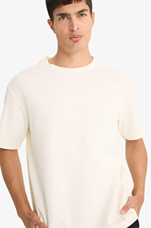 Regular Fit Bisiklet Yaka Kısa Kollu Tişört