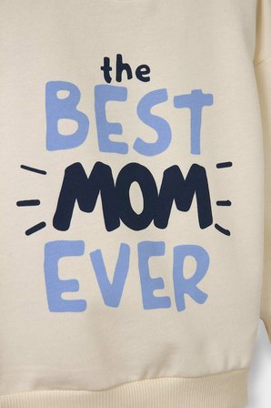 DeFacto Bisiklet Yaka Baskılı İçi Yumuşak Tüylü 2'li Sweatshirt Erkek Bebek G4283A525WNER118