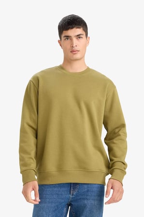 DeFacto Relax Fit Bisiklet Yaka Kalın İçi Yumuşak Tüylü Basic Düz Sweatshirt T5139AZ25AUKH256