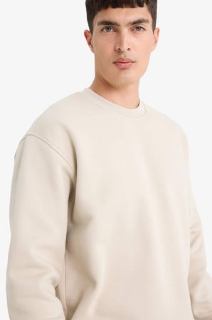 DeFacto Relax Fit Bisiklet Yaka Kalın İçi Yumuşak Tüylü Basic Düz Sweatshirt T5139AZ25AUBG735