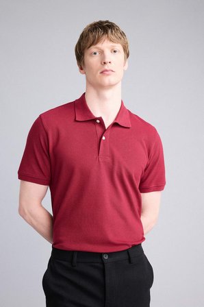 DeFacto %100 Pamuk Regular Fit Polo Tişört E9504AX26SPBR285