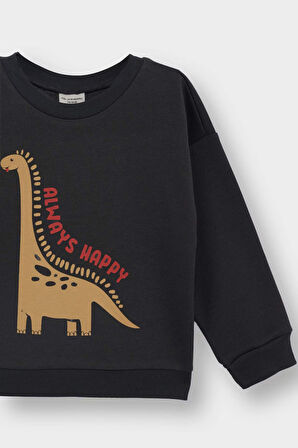 Erkek Bebek Bisiklet Yaka Dinozor Baskılı İçi Yumuşak Tüylü Sweatshirt