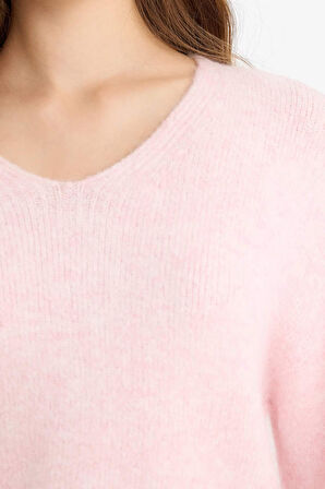 Regular Fit V Yaka Kazak