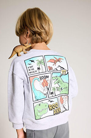 Erkek Bebek Bisiklet Yaka Dinozor Baskılı İçi Yumuşak Tüylü Sweatshirt