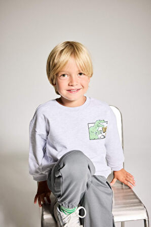 Erkek Bebek Bisiklet Yaka Dinozor Baskılı İçi Yumuşak Tüylü Sweatshirt