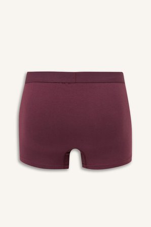 DeFacto Regular Fıt 3'lü Boxer E0023AX25AUPR102