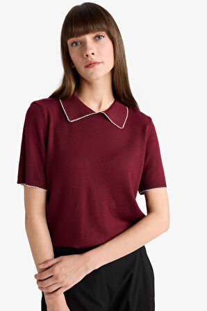 Regular Fit Polo Yaka Triko Kazak