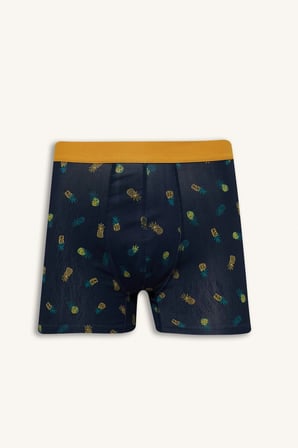 Defacto G8597AXNV135 Lacivert Regular Fıt Meyve Desenli 3'lü Boxer Set
