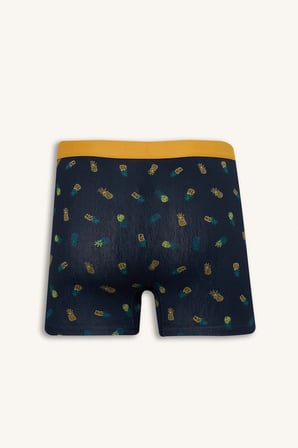 Defacto G8597AXNV135 Lacivert Regular Fıt Meyve Desenli 3'lü Boxer Set